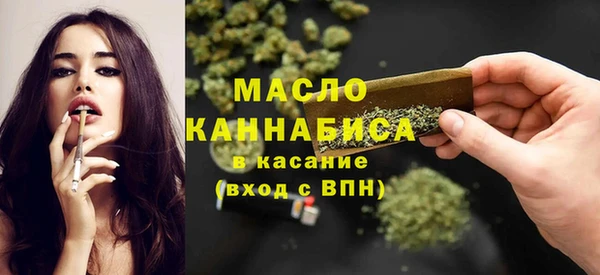 хмурый Арсеньев