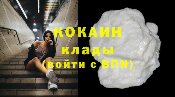 хмурый Арсеньев