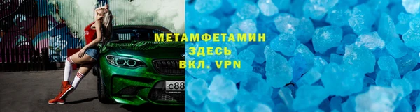 хмурый Аркадак