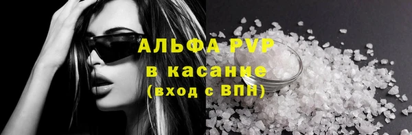 хмурый Аркадак