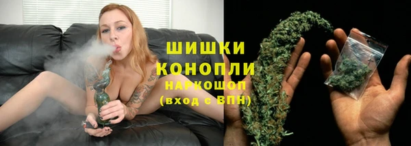 хмурый Арсеньев