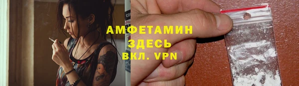 хмурый Арсеньев