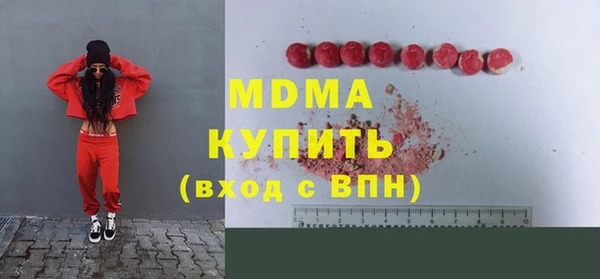 хмурый Арсеньев