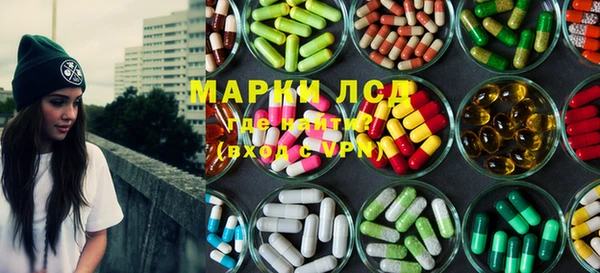 хмурый Арсеньев