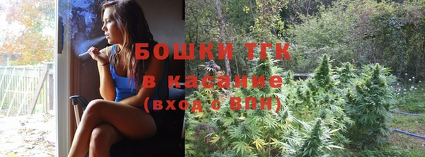 хмурый Аркадак
