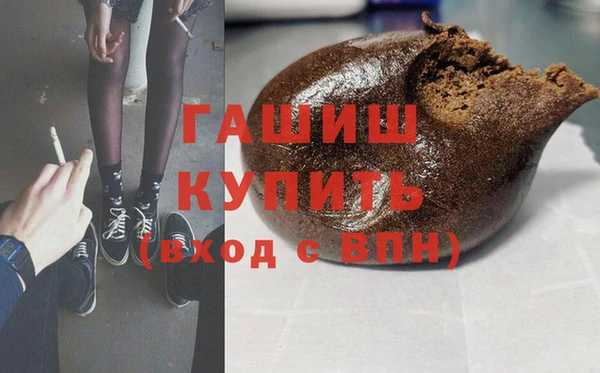 хмурый Аркадак