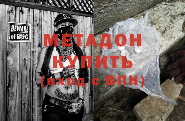 хмурый Аркадак