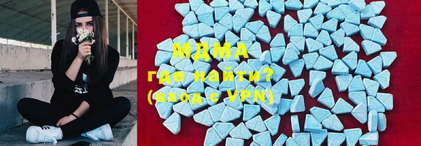 хмурый Аркадак