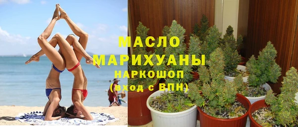 хмурый Аркадак
