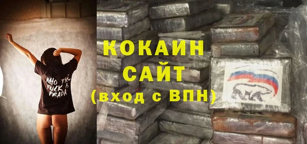 хмурый Арсеньев