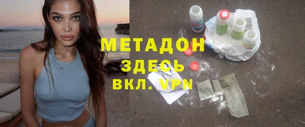хмурый Аркадак