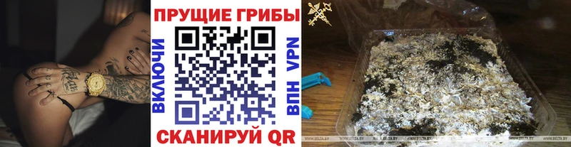 Галлюциногенные грибы Psilocybe  Ишимбай 